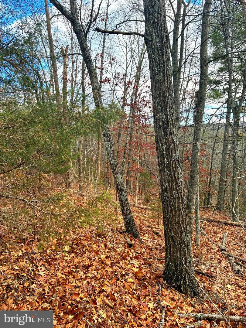 Spitz Ln Property Photo 6