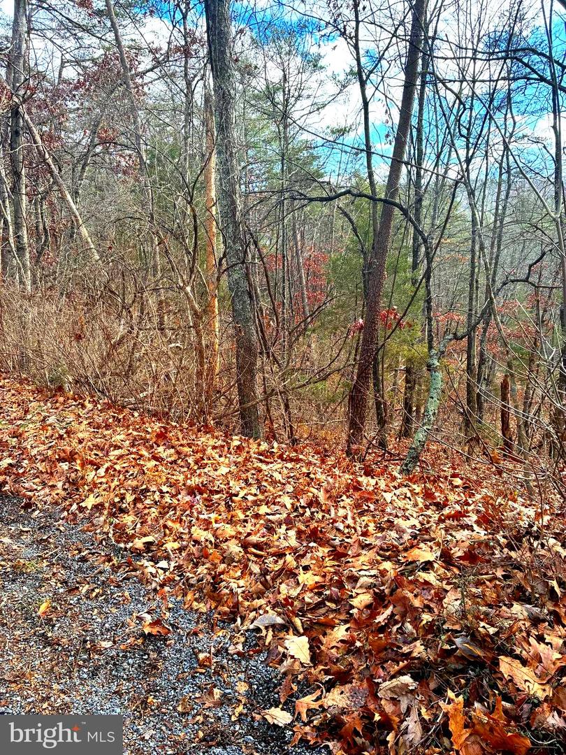 Spitz Ln Property Photo 7