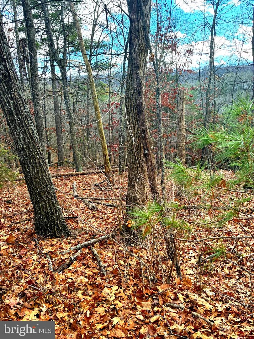 Spitz Ln Property Photo 8