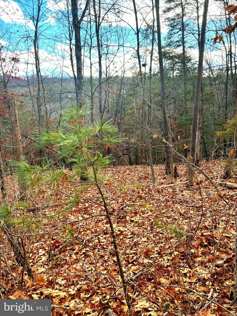 Spitz Ln Property Photo 9