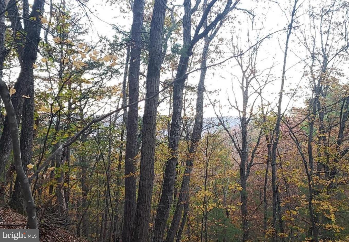 0 FAIRWAY AVE #LOT 30 Property Photo 1