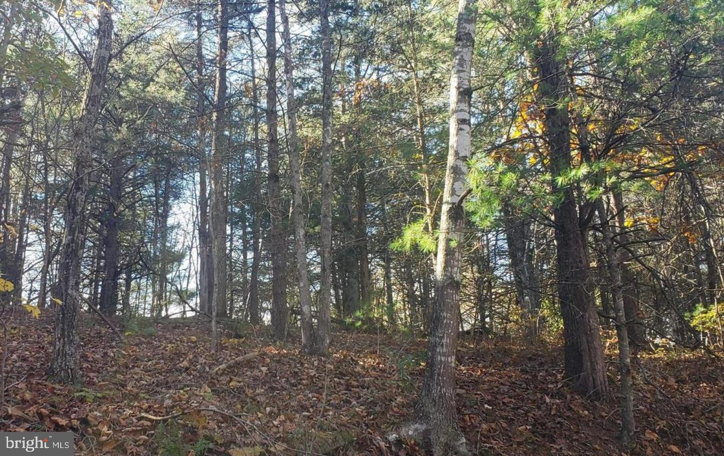0 Fairway Ave #lot 30 Property Photo 2