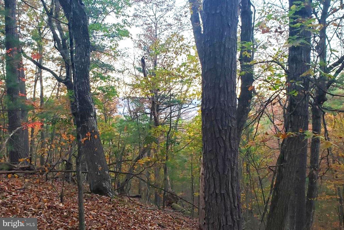0 Fairway Ave #lot 30 Property Photo 3