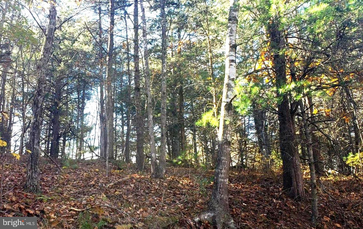 0 Fairway Dr #lot 31 Property Photo 1