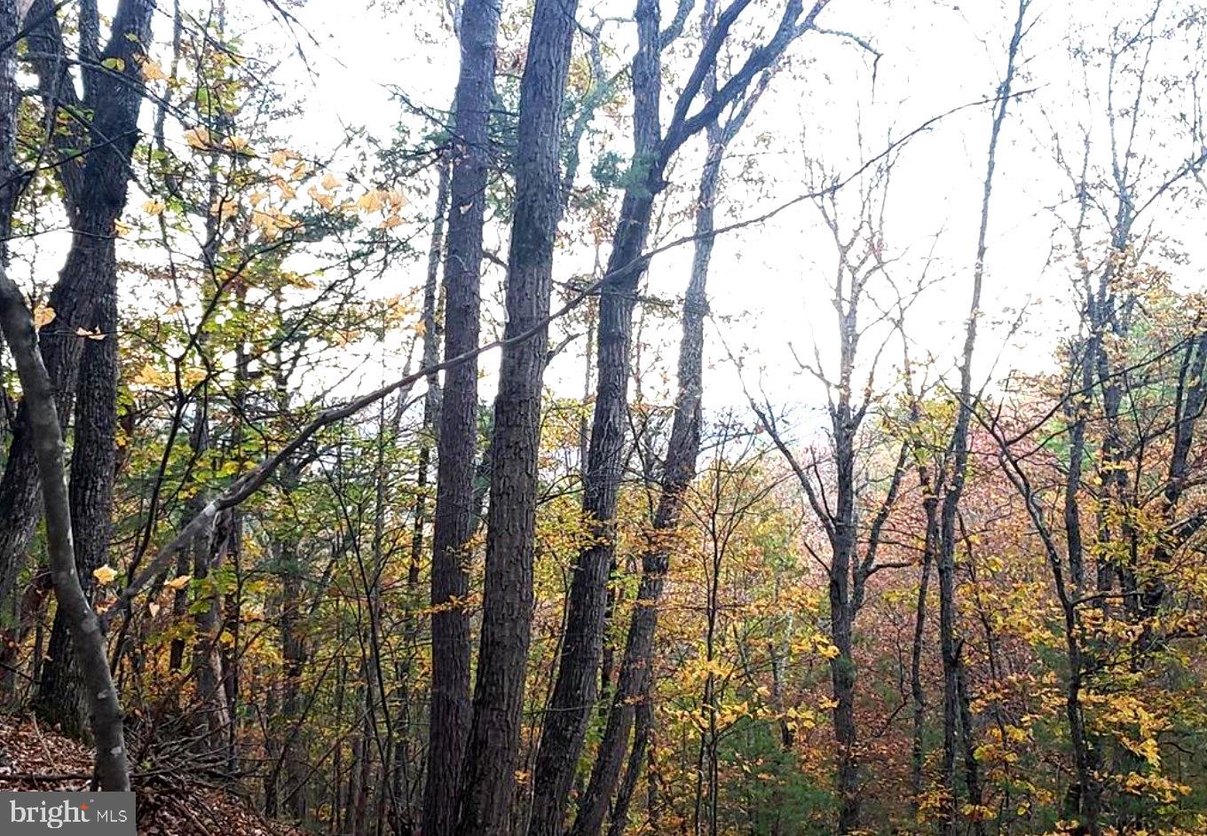 0 Fairway Dr #lot 31 Property Photo 2