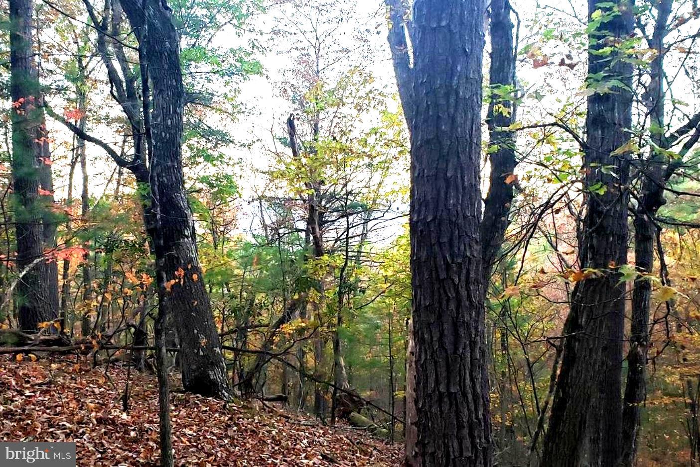 0 Fairway Dr #lot 31 Property Photo 3