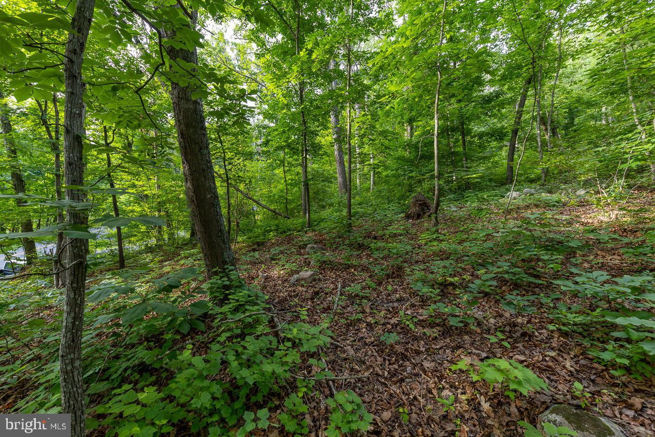 Lot 5a Mash Ln Property Photo 5