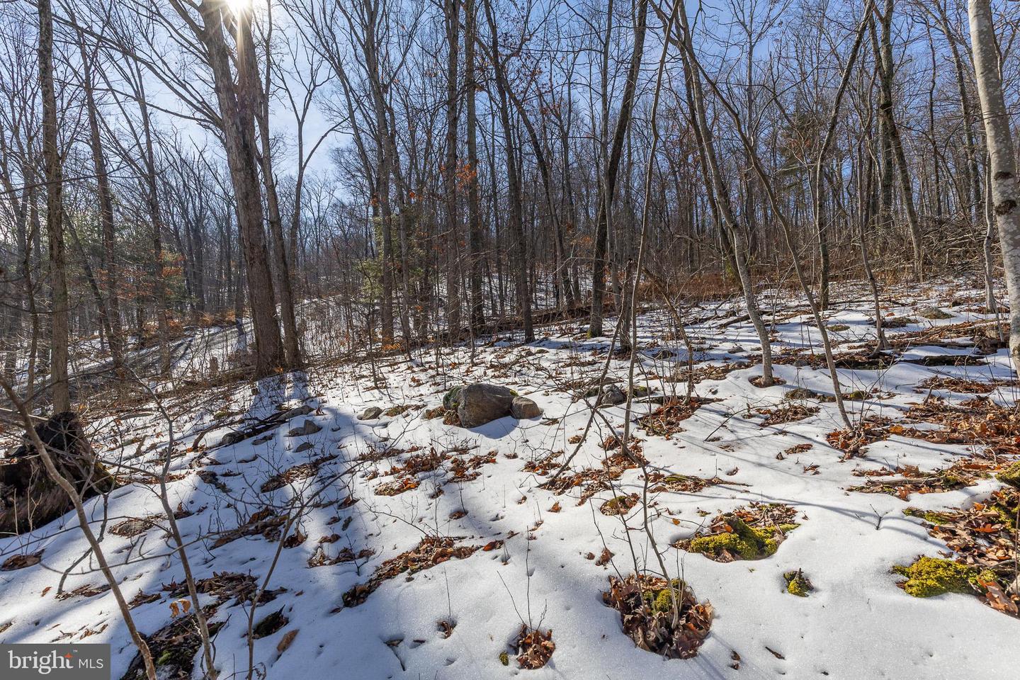 Lot 5a Mash Ln Property Photo 19