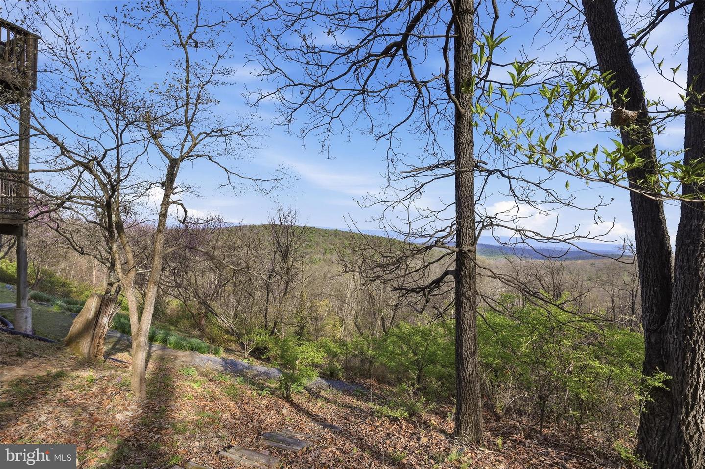 2152 Supinlick Ridge Property Photo 78