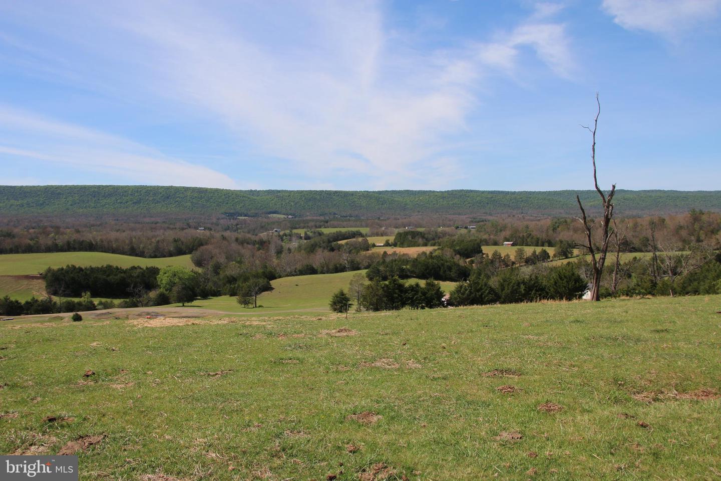 Cold Spring Hollow Ln Property Photo 8