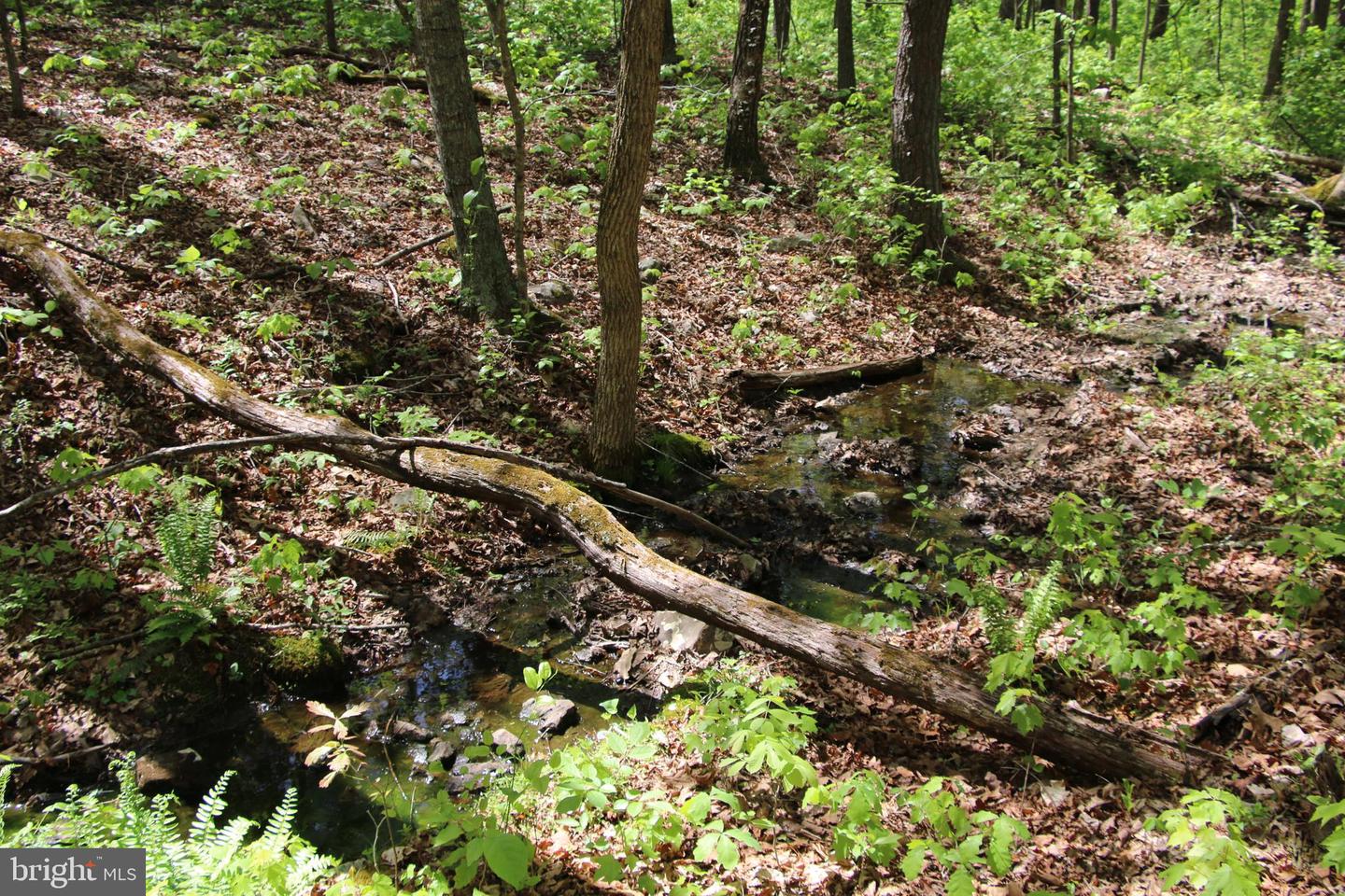 Cold Spring Hollow Ln Property Photo 9