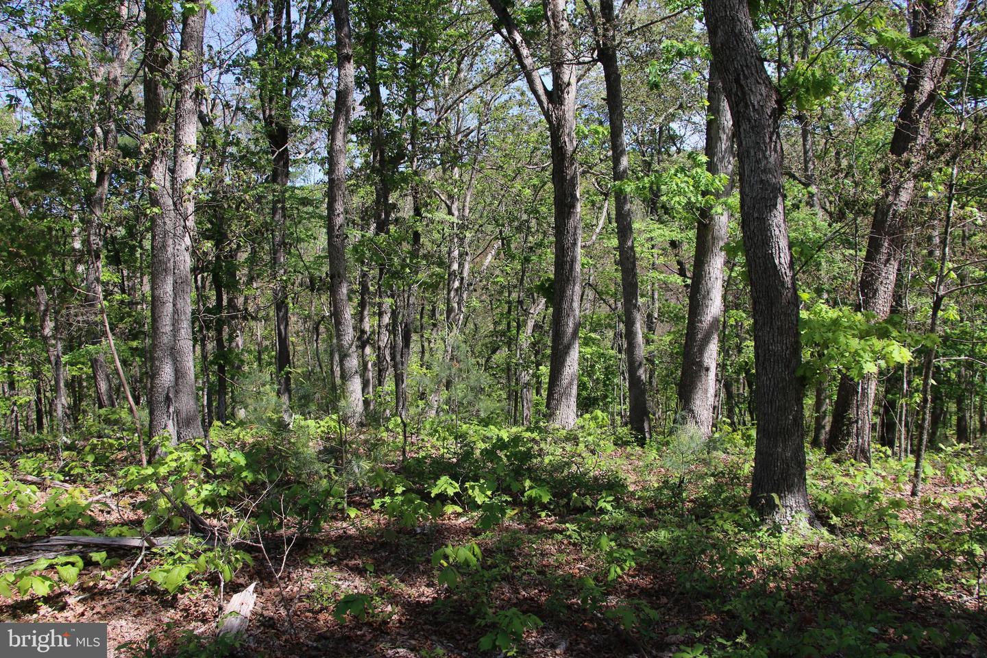 Cold Spring Hollow Ln Property Photo 12