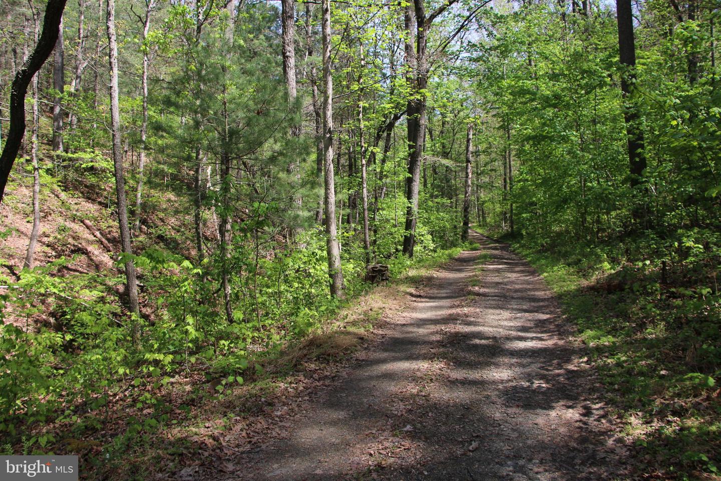 Cold Spring Hollow Ln Property Photo 17