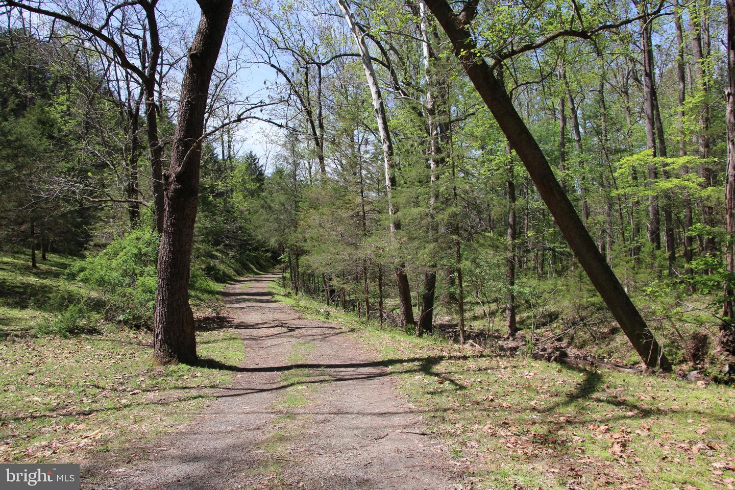 Cold Spring Hollow Ln Property Photo 19