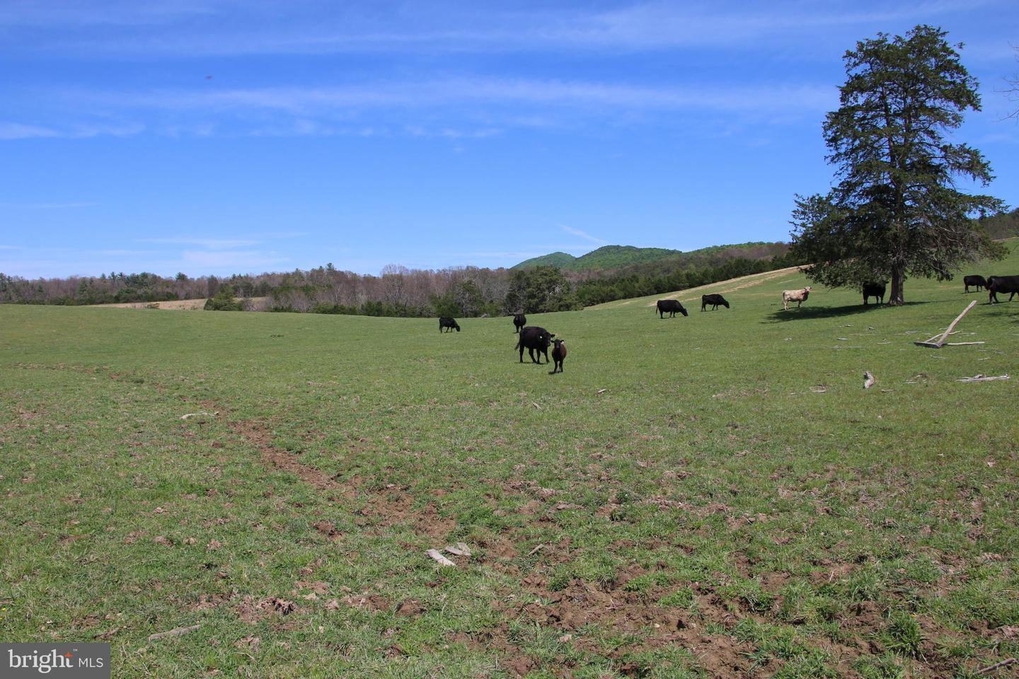 Cold Spring Hollow Ln Property Photo 20