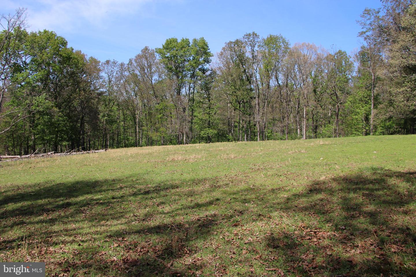 Cold Spring Hollow Ln Property Photo 22