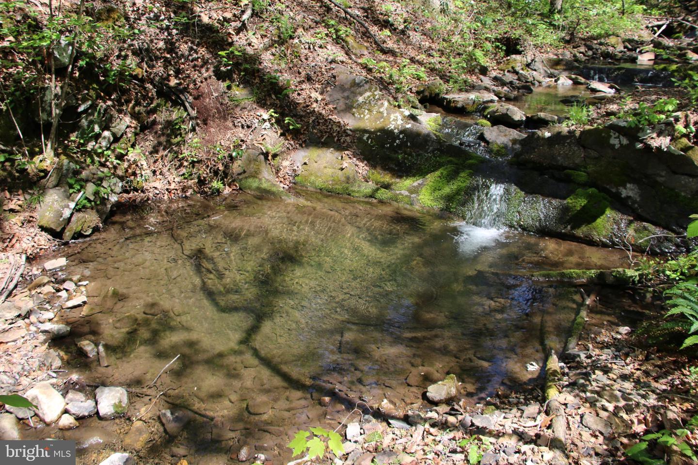 Cold Spring Hollow Ln Property Photo 23