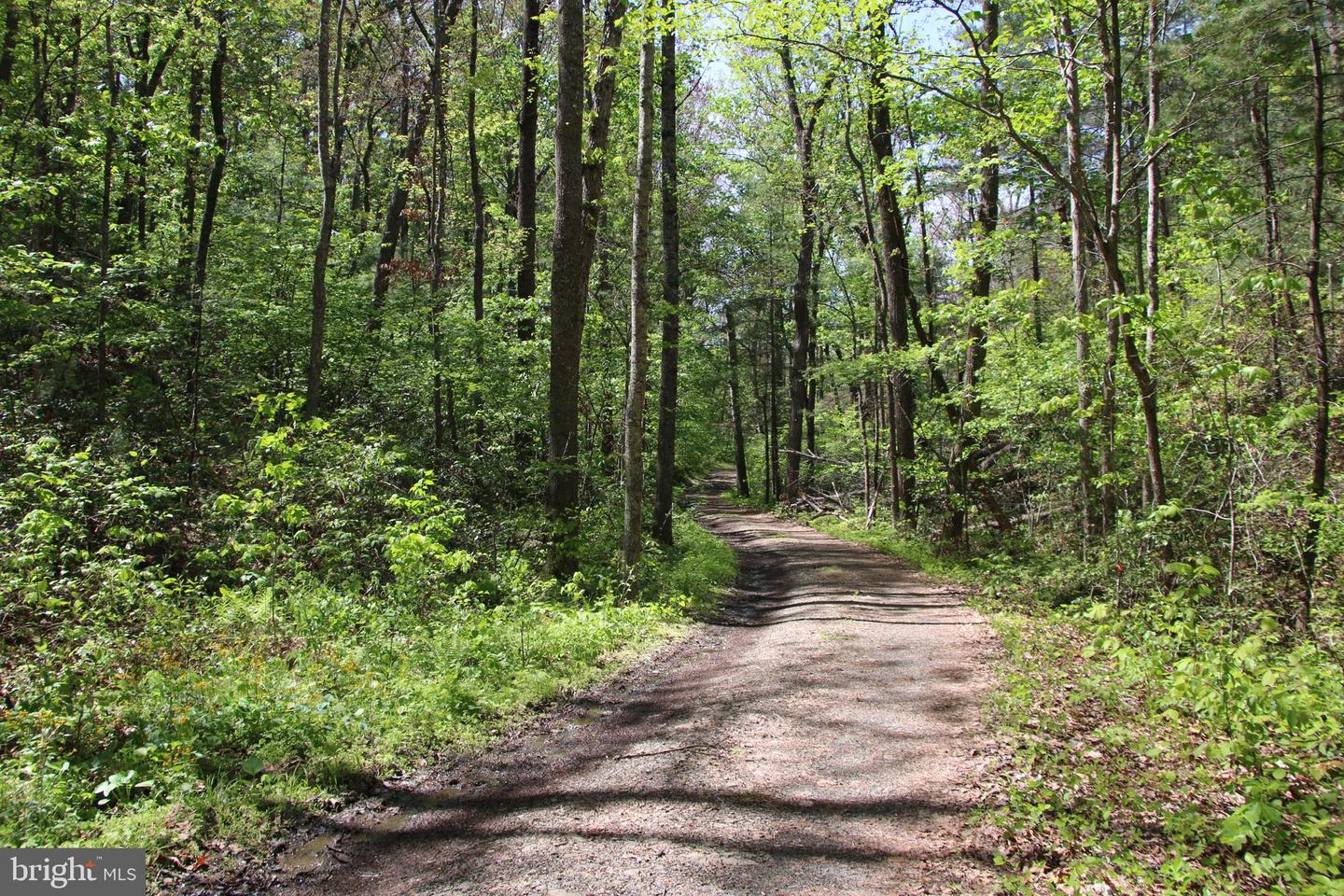Cold Spring Hollow Ln Property Photo 25