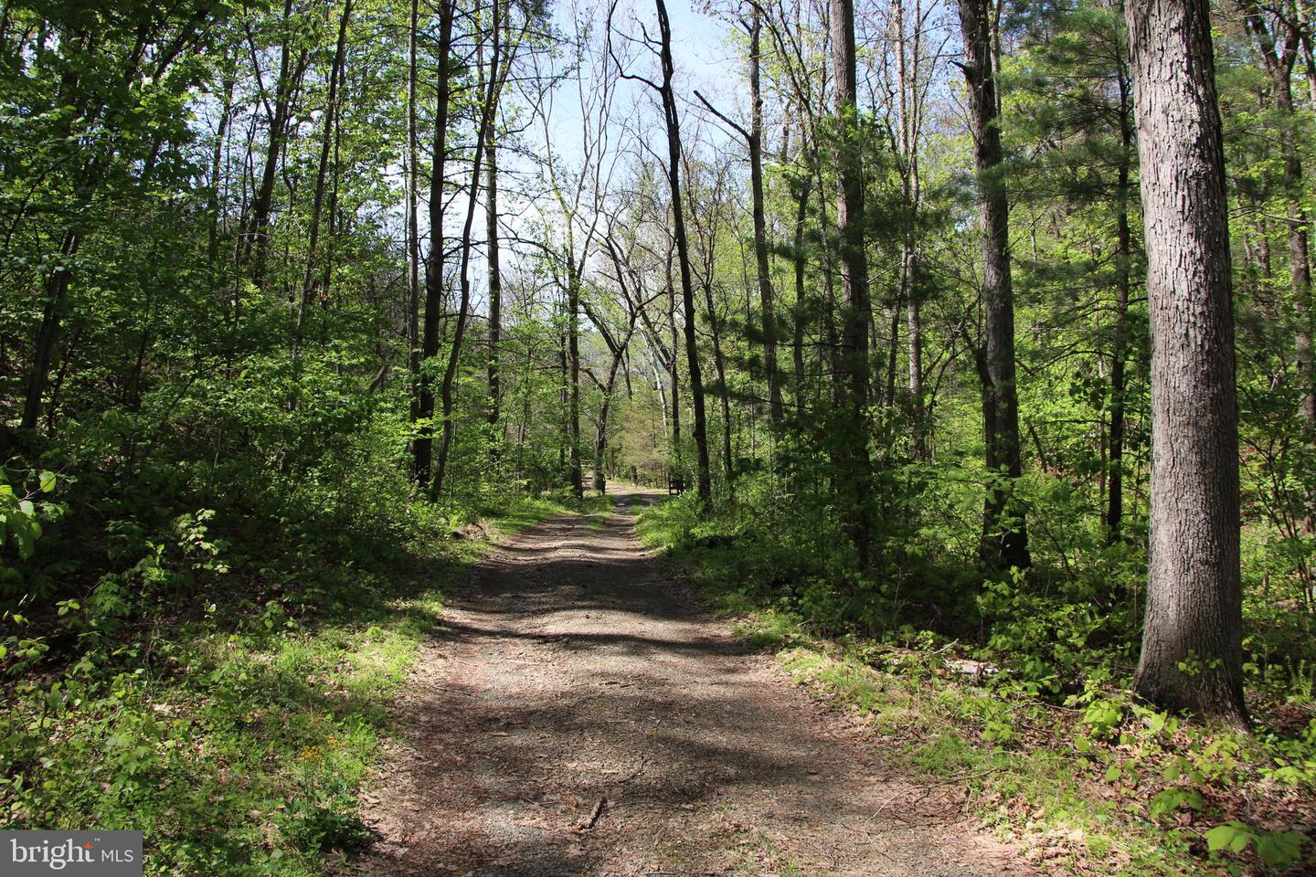 Cold Spring Hollow Ln Property Photo 27