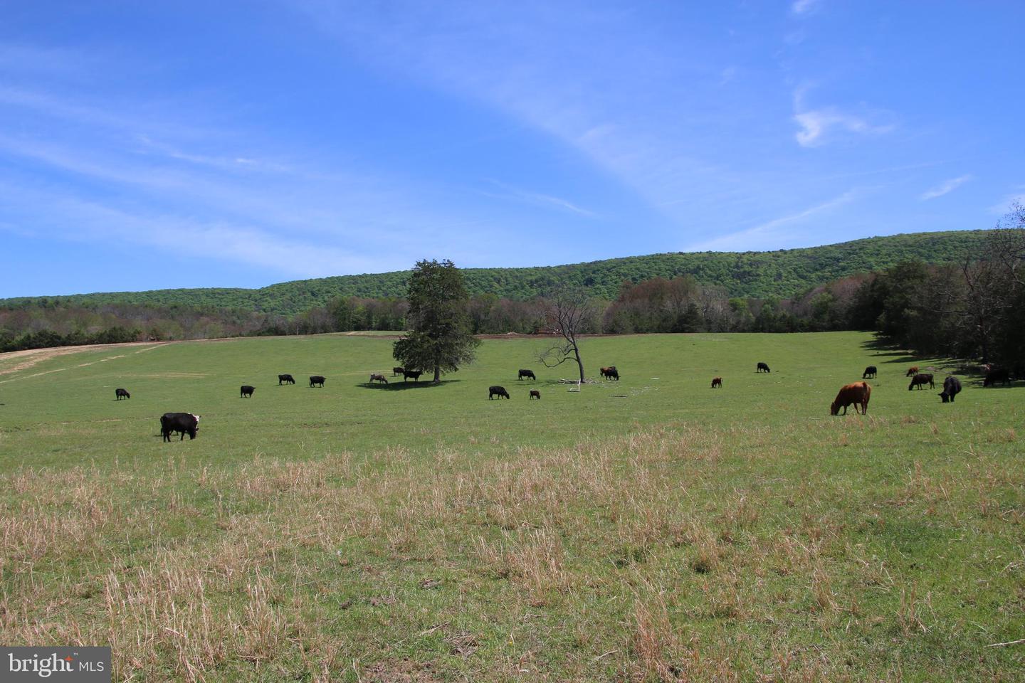Cold Spring Hollow Ln Property Photo 30