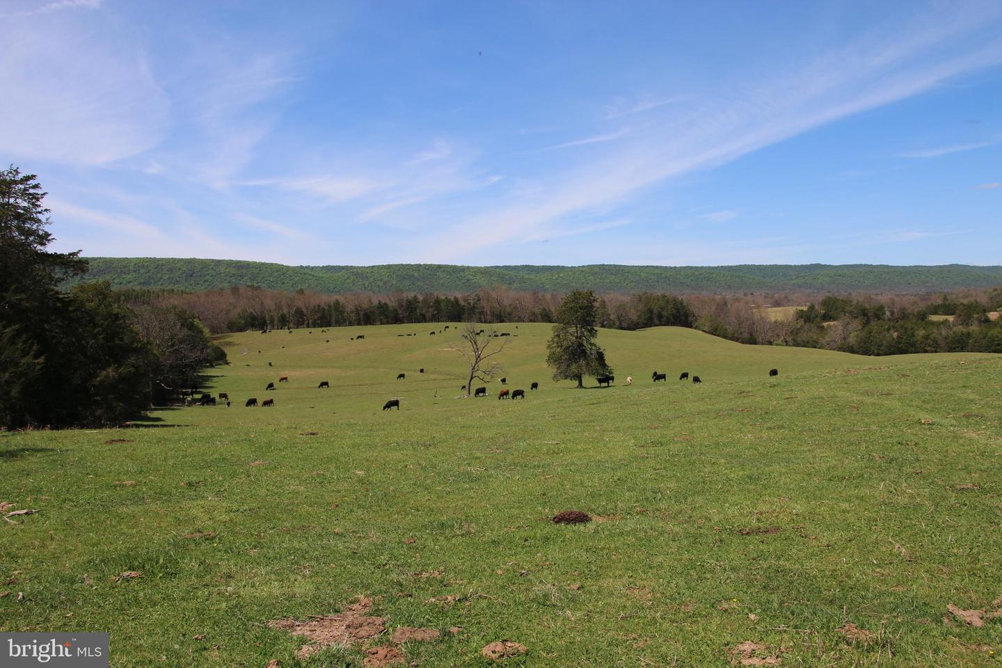 Cold Spring Hollow Ln Property Photo 34