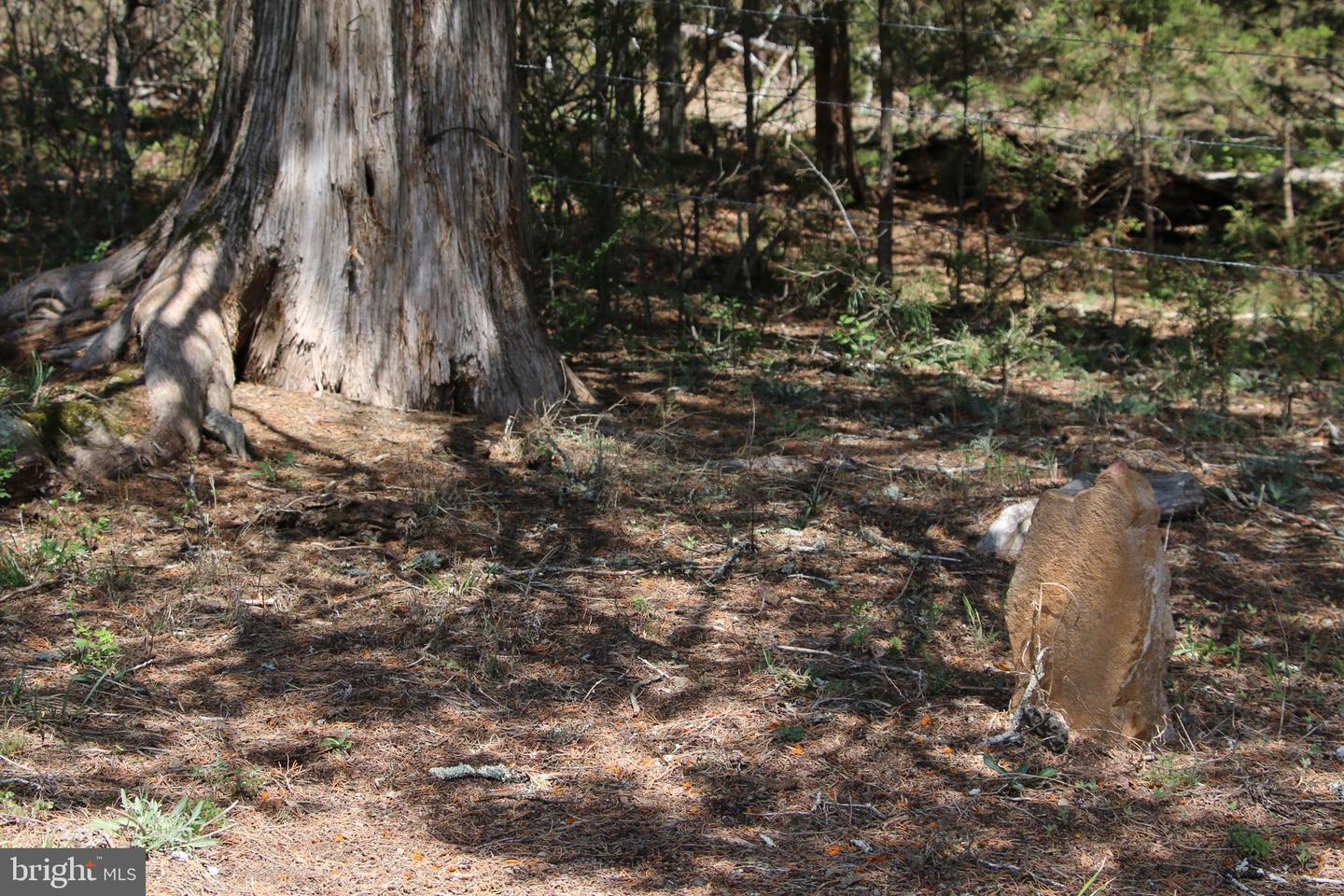 Cold Spring Hollow Ln Property Photo 35