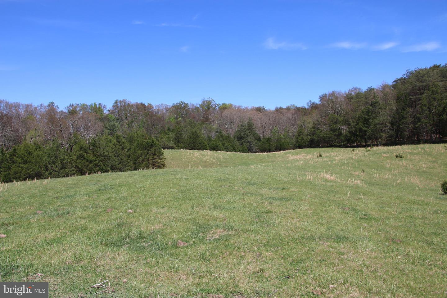 Cold Spring Hollow Ln Property Photo 44