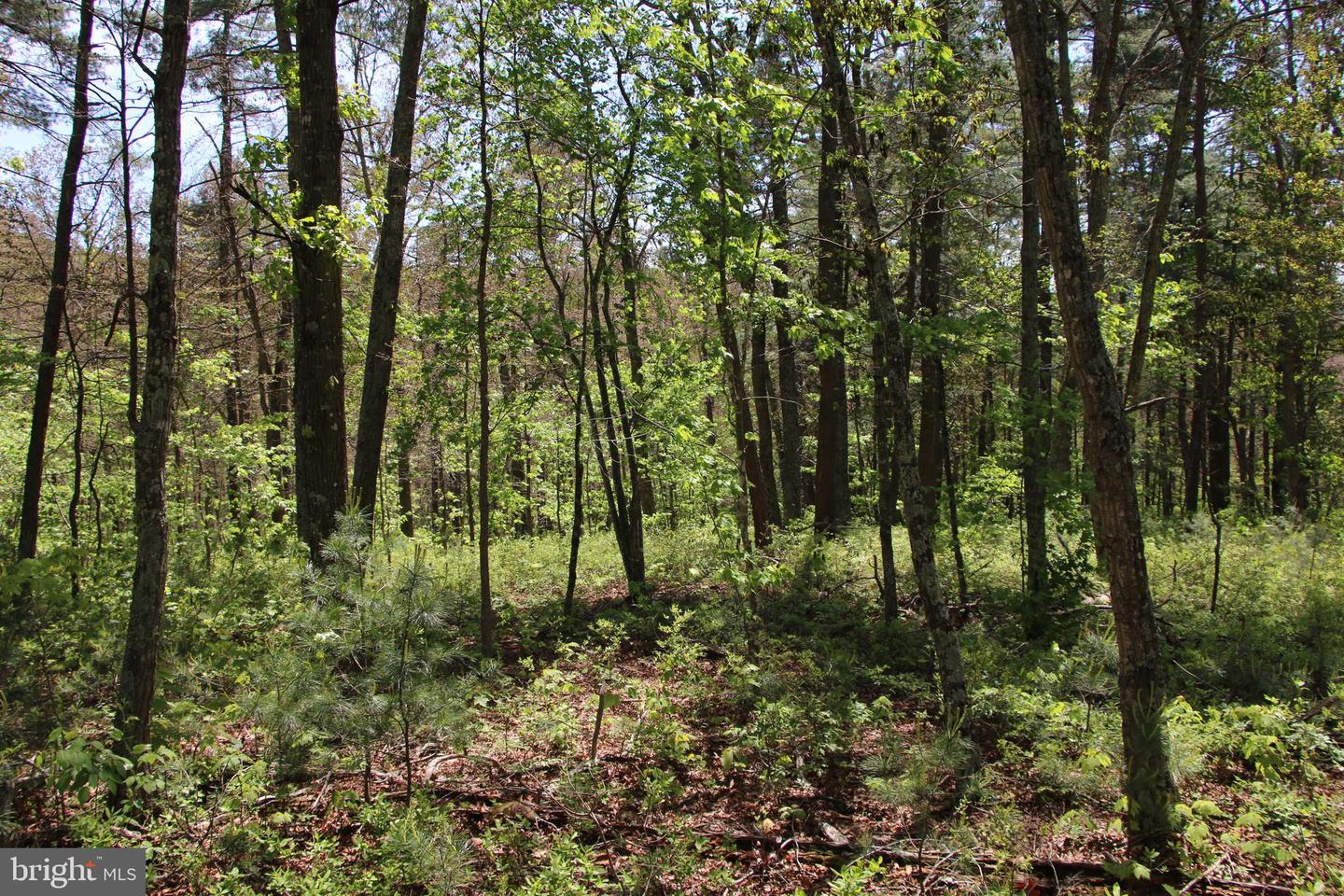 Cold Spring Hollow Ln Property Photo 54