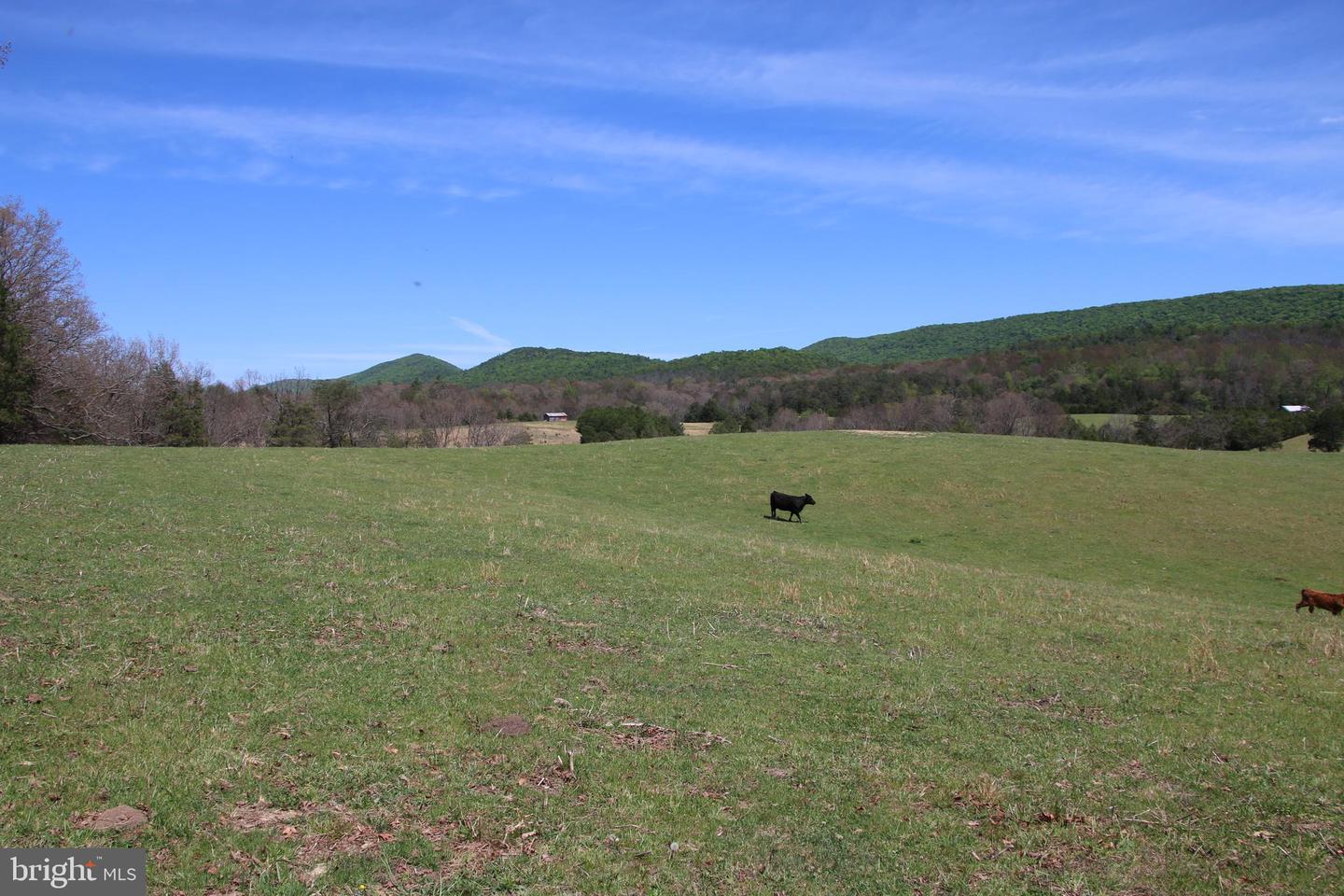 Cold Spring Hollow Ln Property Photo 55