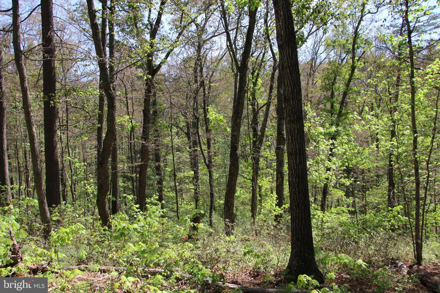 Cold Spring Hollow Ln Property Photo 57