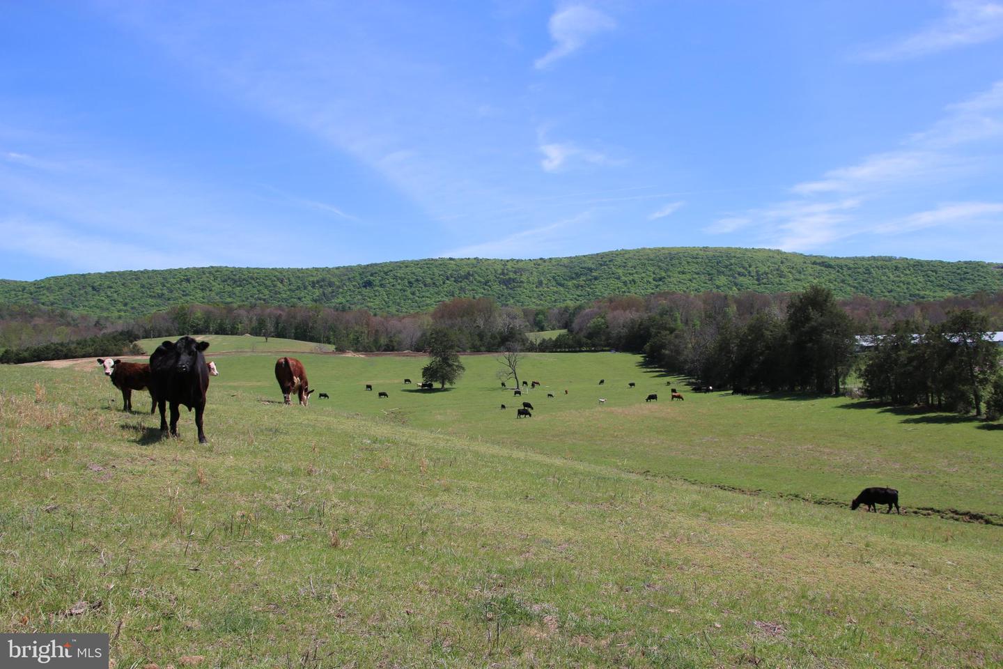 Cold Spring Hollow Ln Property Photo 58