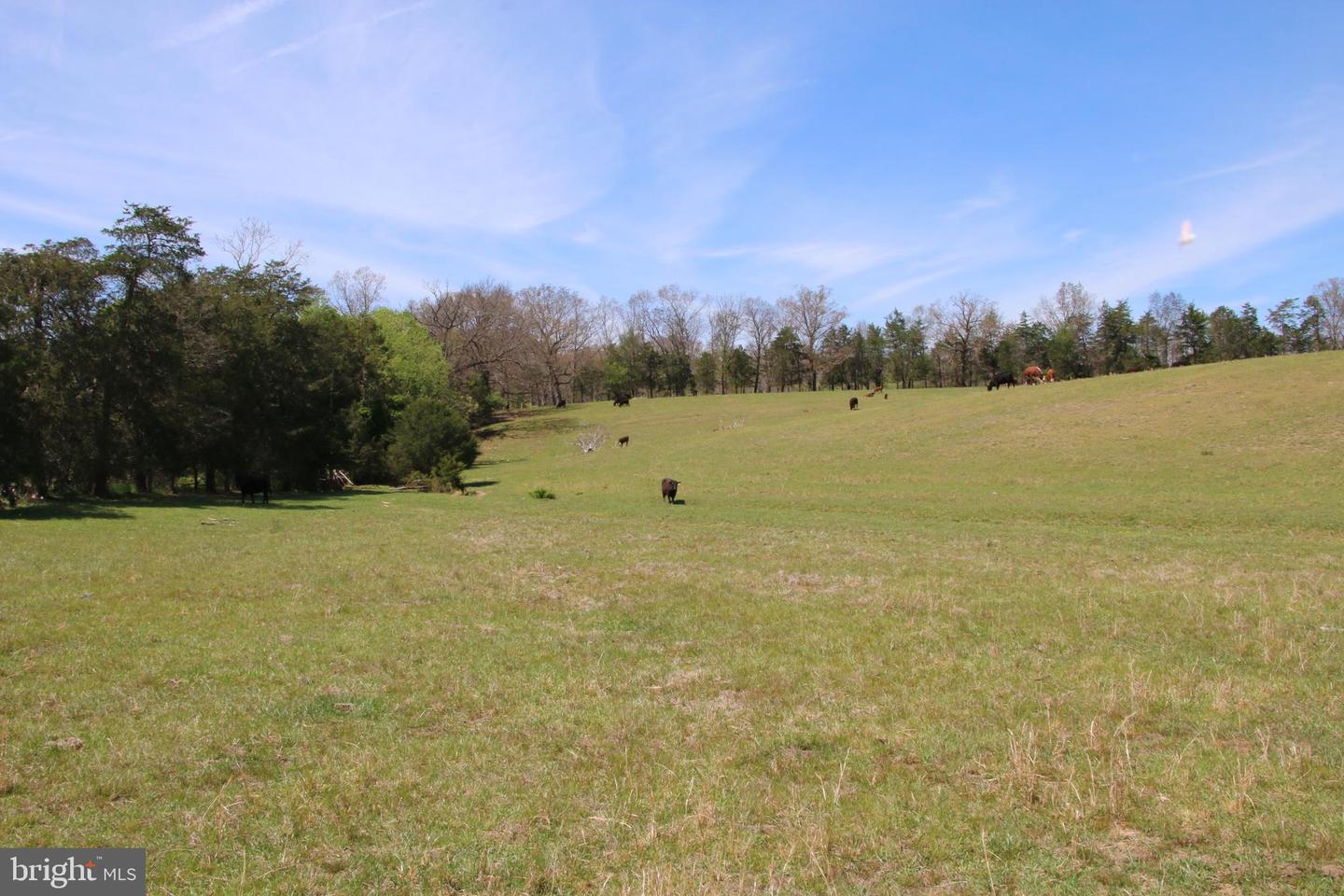 Cold Spring Hollow Ln Property Photo 59