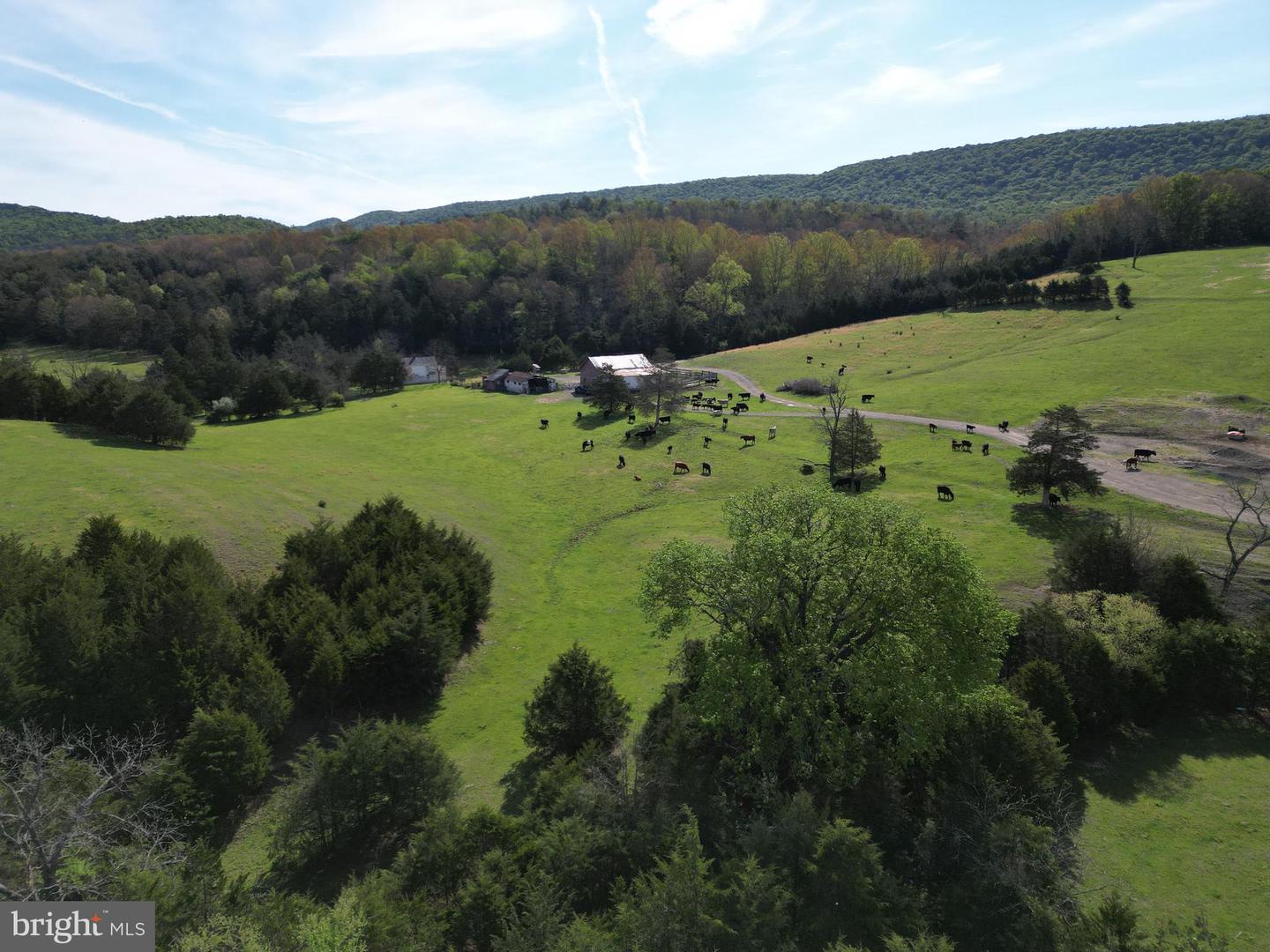Cold Spring Hollow Ln Property Photo 86