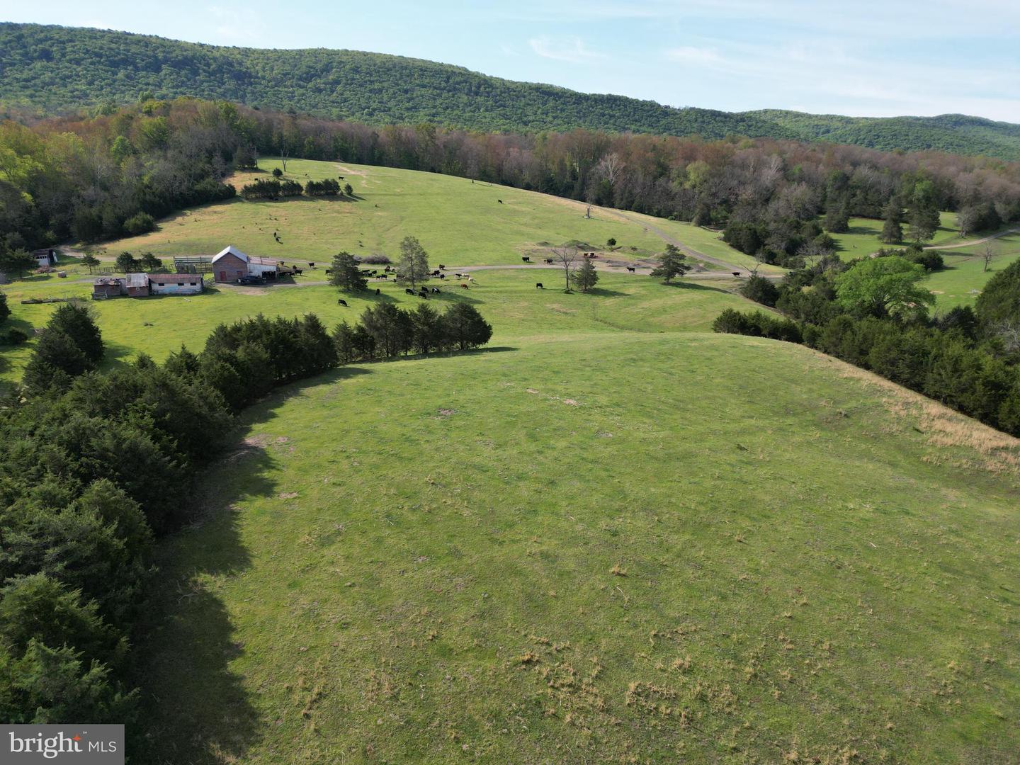 Cold Spring Hollow Ln Property Photo 94