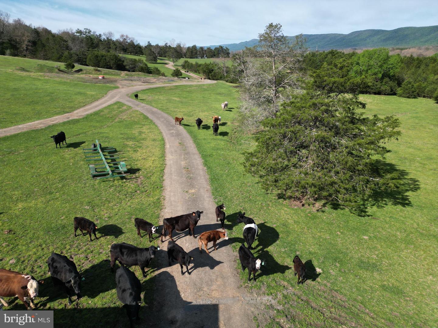 Cold Spring Hollow Ln Property Photo 101