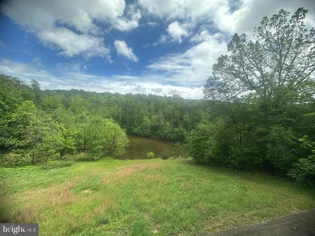 431 Holly Ridge Rd Property Photo 17