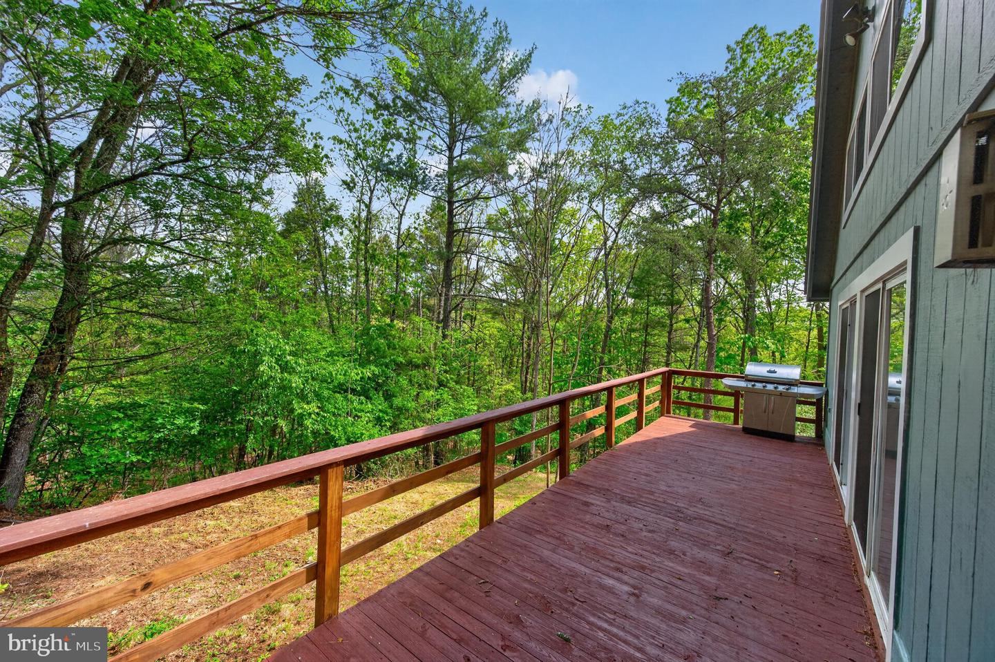 393 Palmer Property Photo 10