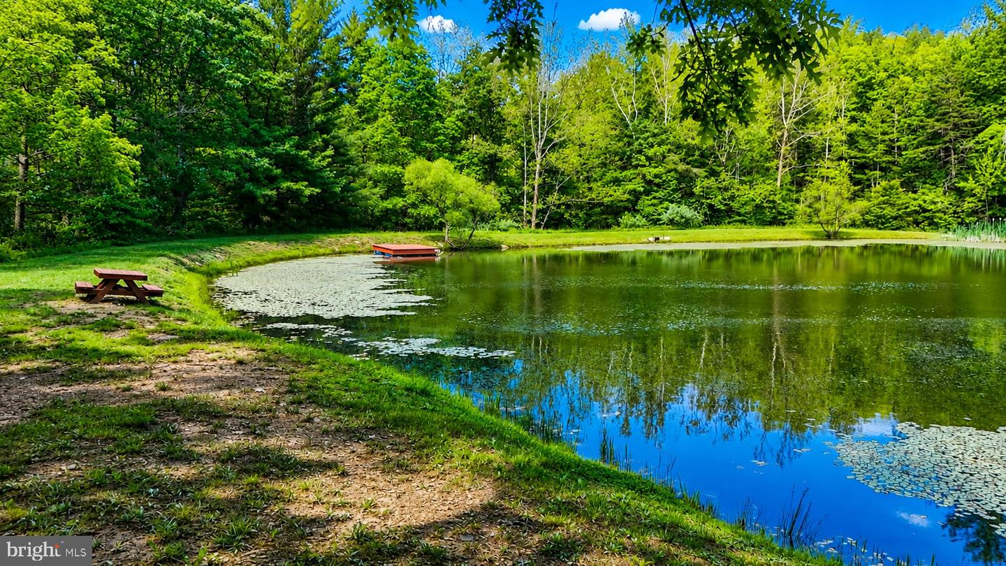 Lot 168 Forest Ridge Trail Property Photo 10
