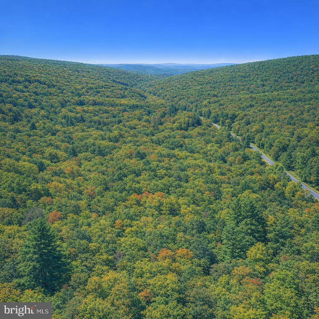 Lot 170 Forest Ridge Trail Property Photo 3