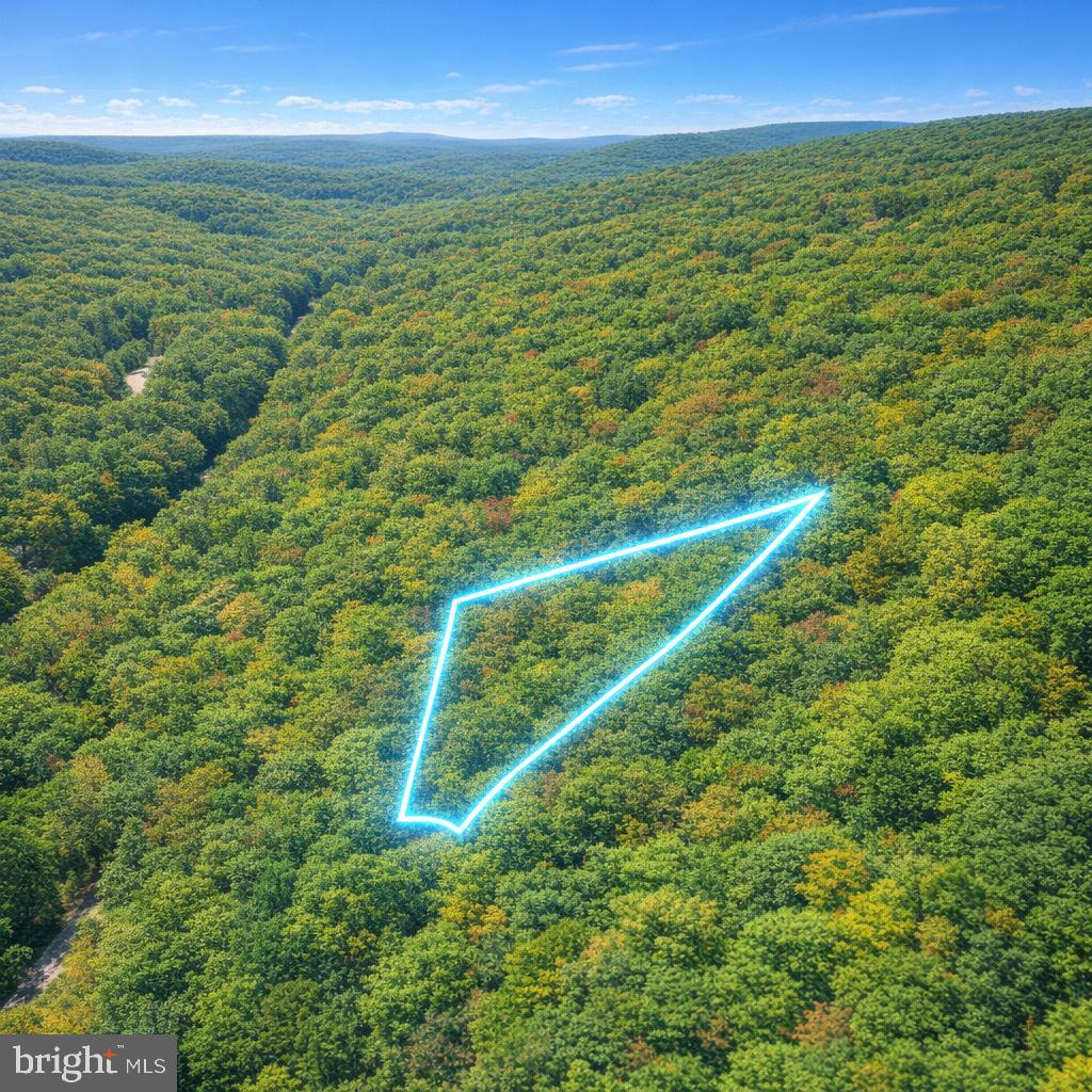 Lot 170 Forest Ridge Trail Property Photo 4
