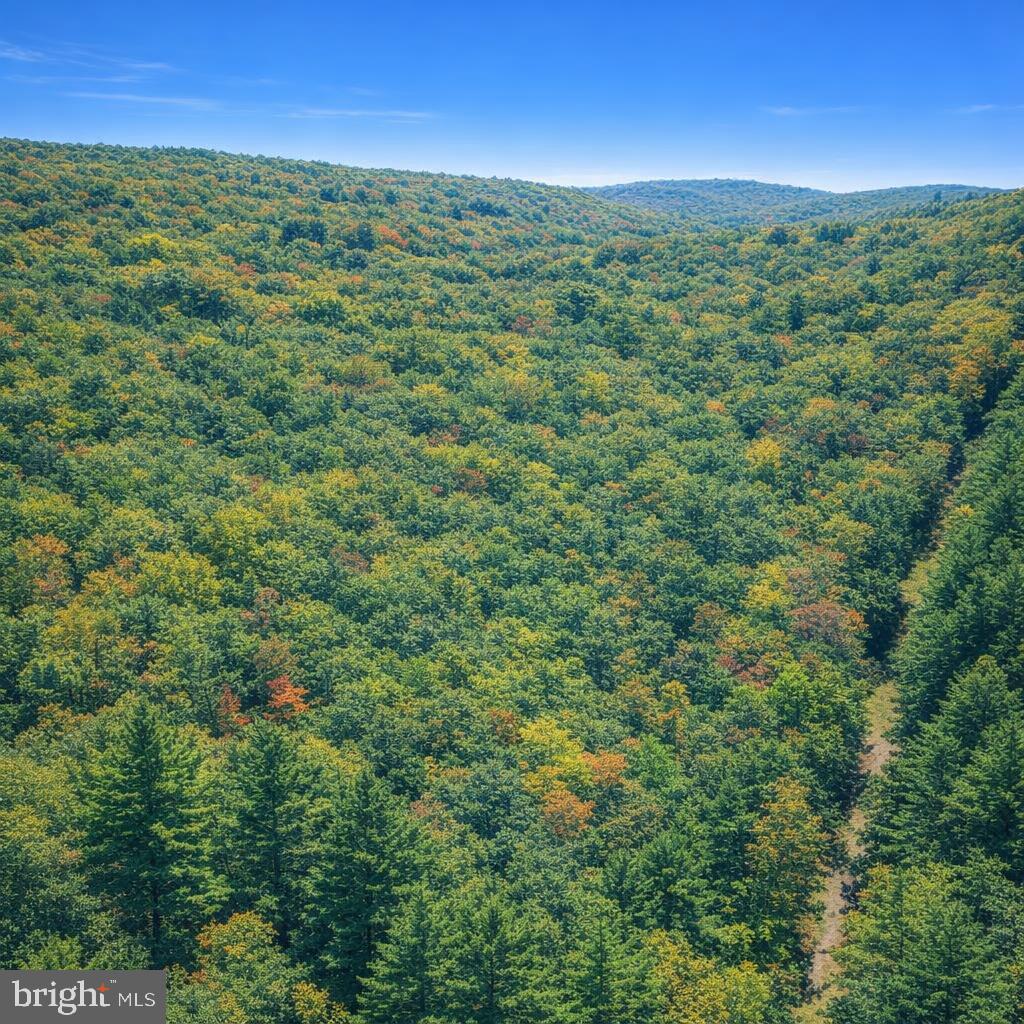 Lot 170 Forest Ridge Trail Property Photo 6
