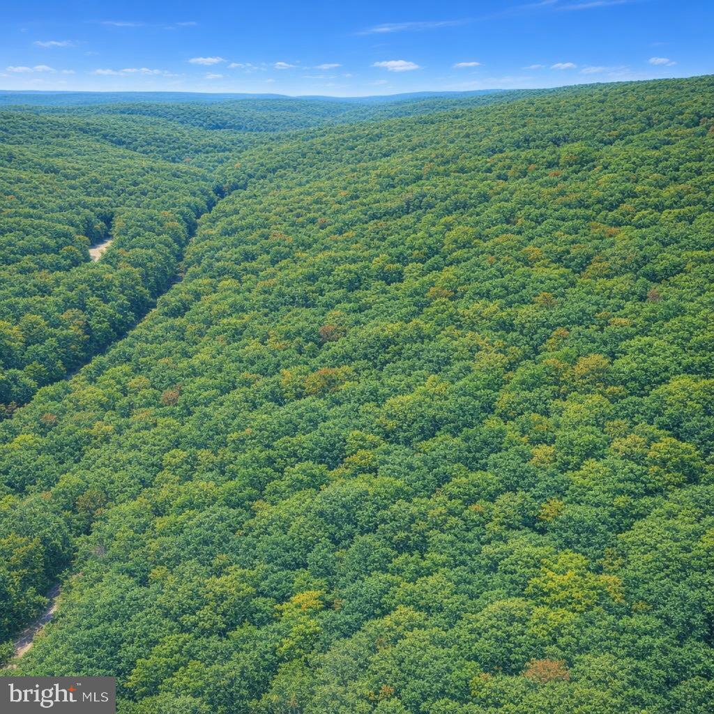 Lot 170 Forest Ridge Trail Property Photo 7