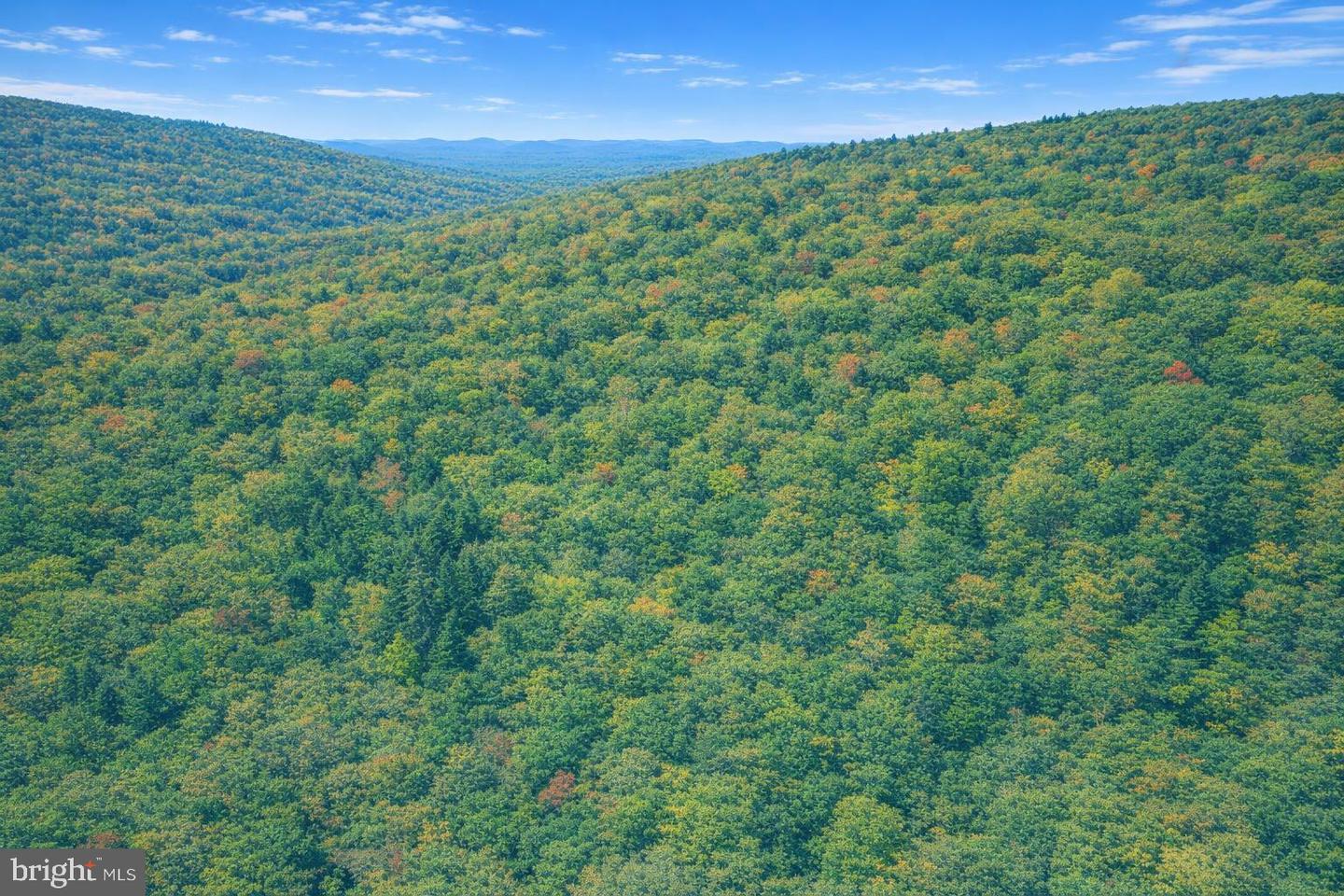 Lot 170 Forest Ridge Trail Property Photo 8