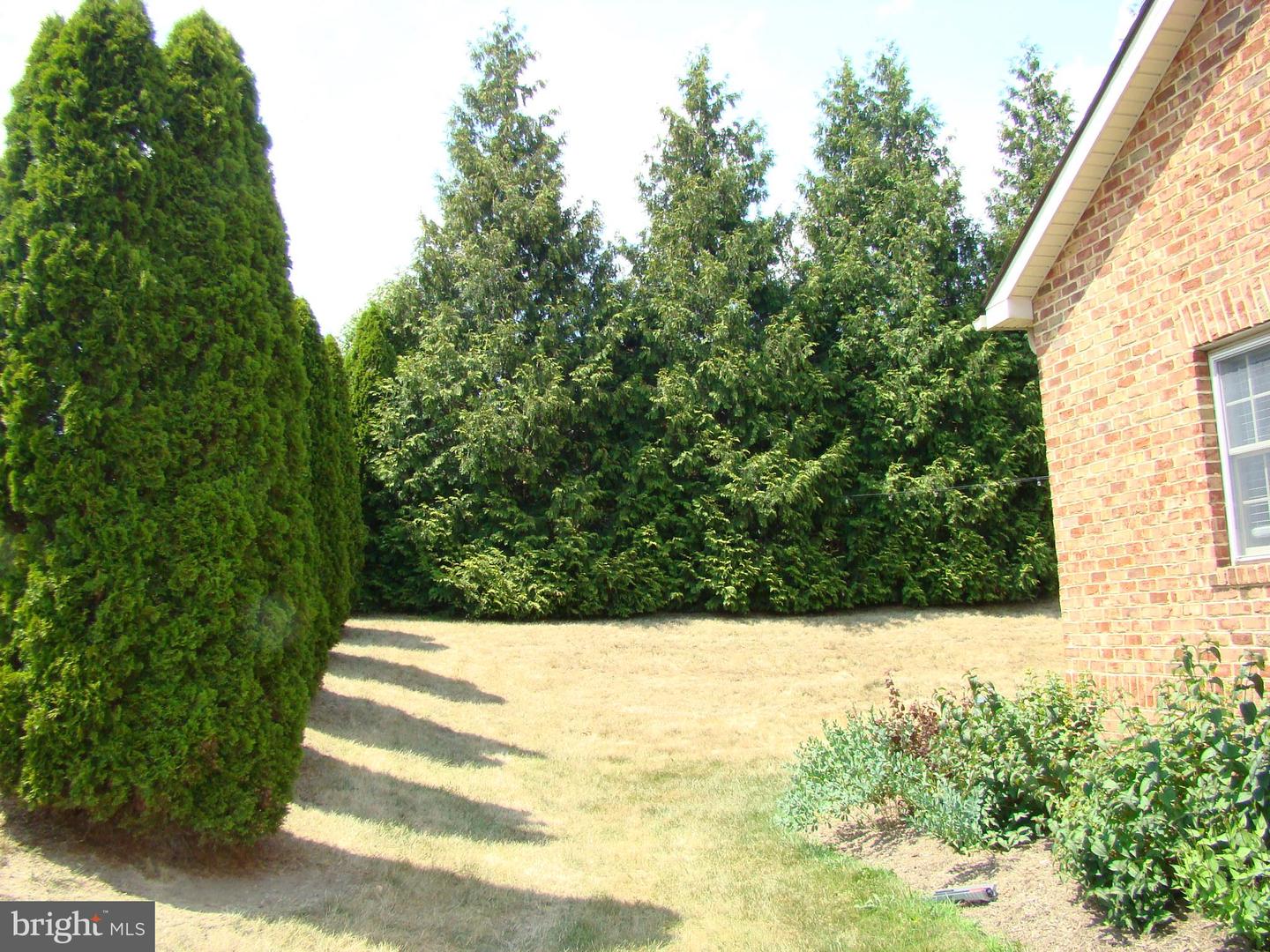 140 Donna Dr Property Photo 24