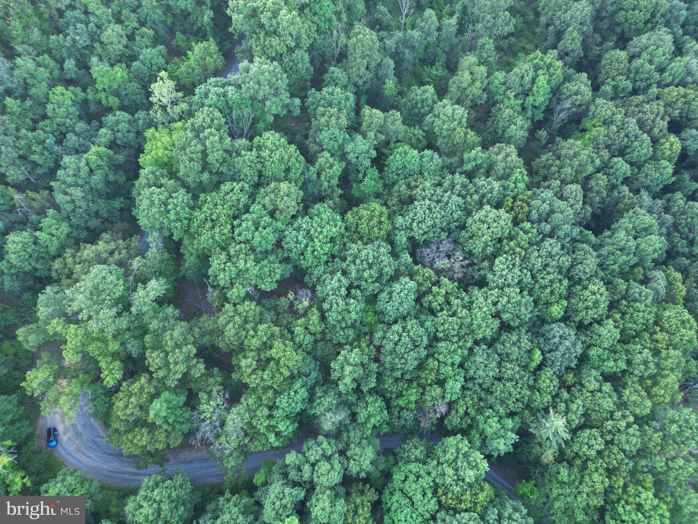 Tbd Rolly Rd Property Photo 3