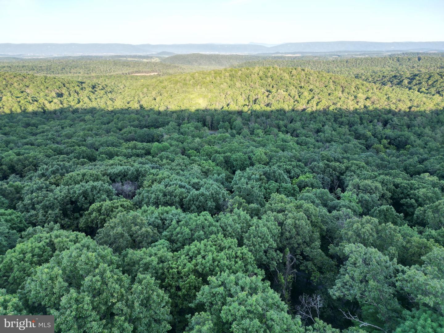 Tbd Rolly Rd Property Photo 5