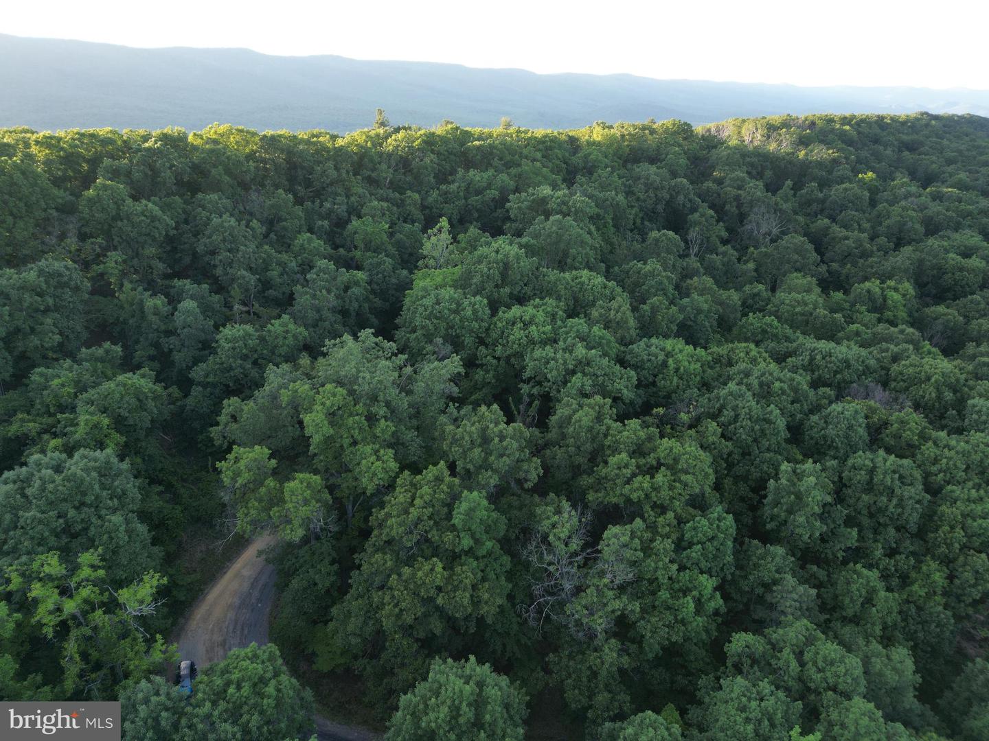 Tbd Rolly Rd Property Photo 6