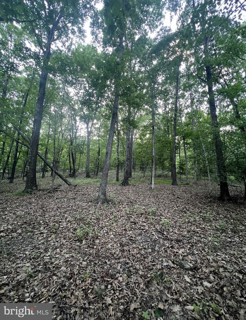 Tbd Rolly Rd Property Photo 8