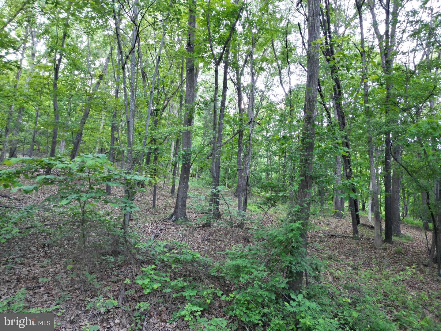 Tbd Rolly Rd Property Photo 9