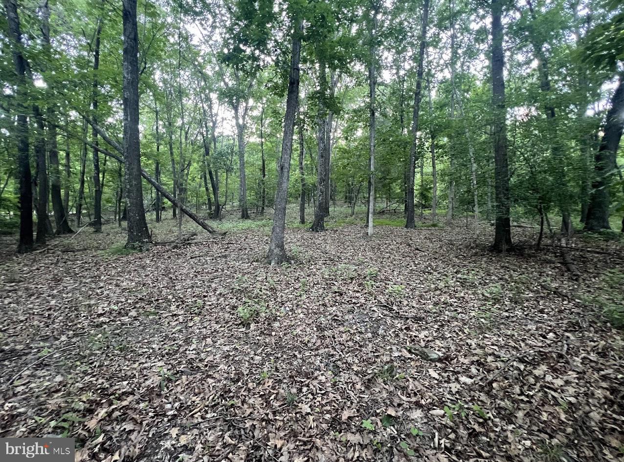 Tbd Rolly Rd Property Photo 10
